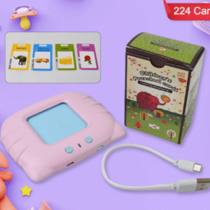 Learning Toys Flash Card